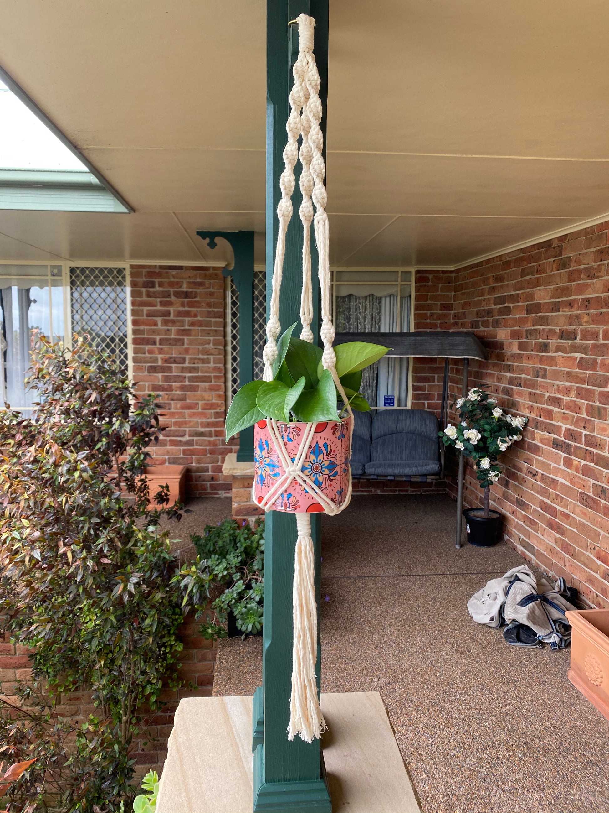 cotton plant hanger MACRAME